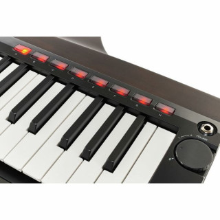 Korg RK-100S 2 черный Korg RK-100S 2 Black