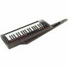 Korg RK-100S 2 черный Korg RK-100S 2 Black