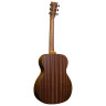 Мартин Гитары ОМ Биосфера Martin Guitars OM Biosphere