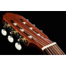 Gewa Student Натуральный кедр 4/4 Gewa Student Natural Cedar 4/4