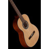 Gewa Student Натуральный кедр 4/4 Gewa Student Natural Cedar 4/4