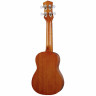 Набор сопрано Luna Guitars Uke Tribal Turtle Luna Guitars Uke Tribal Turtle Soprano Pack