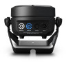 Корень камеи, равный двум Cameo Root Par TW