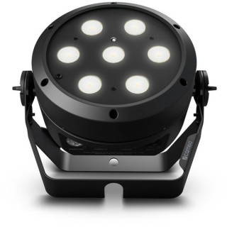 Корень камеи, равный двум Cameo  Root Par TW