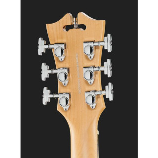 Электрогитара DAngelico Premier Brighton Sherwood GR DAngelico Premier Brighton Sherwood GR