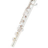 Флейта Powell Sonare PS 101 CEA Flute