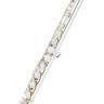 Флейта Powell Sonare PS 101 CEA Flute