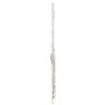 Флейта Powell Sonare PS 101 CEA Flute