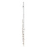 Флейта Powell Sonare PS 101 CEA Flute