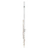 Флейта Powell Sonare PS 101 CEA Flute
