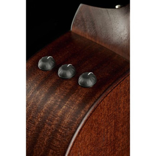 Тейлор AD22e Taylor AD22e