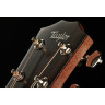 Тейлор AD22e Taylor AD22e