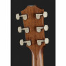 Тейлор AD22e Taylor AD22e