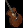 Тейлор AD22e Taylor AD22e