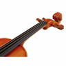 Эдгар Русс Скала Перфетта Скрипка Гварнери Edgar Russ Scala Perfetta Violin Guarneri