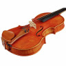 Эдгар Русс Скала Перфетта Скрипка Гварнери Edgar Russ Scala Perfetta Violin Guarneri