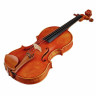Эдгар Русс Скала Перфетта Скрипка Гварнери Edgar Russ Scala Perfetta Violin Guarneri