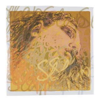 Pirastro Ева Пирацци шлепает по струнам Pirastro Evah Pirazzi Slap E String