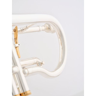 Бesson BE2029-2 Prestige Bb-Корнет Besson BE2029-2 Prestige Bb-Cornet