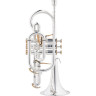 Бesson BE2029-2 Prestige Bb-Корнет Besson BE2029-2 Prestige Bb-Cornet