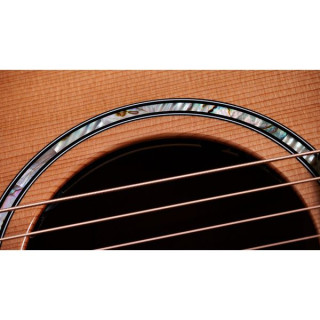 Тейлор 514ce Next Generation Taylor 514ce Next Generation
