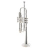 Бах C190SL229X  C-Тромбон Bach C190SL229X C-Trumpet
