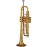 Gewa Bb-Тромбон TR172 M Vision Gewa Bb-Trumpet TR172 M Vision