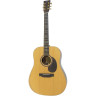 Джорни Инструменты КомфортDreadnought JCD422 Journey Instruments Comfort Dreadnought JCD422