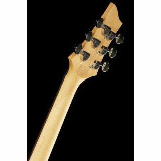 Schecter C-6 Plus EM Schecter C-6 Plus EM