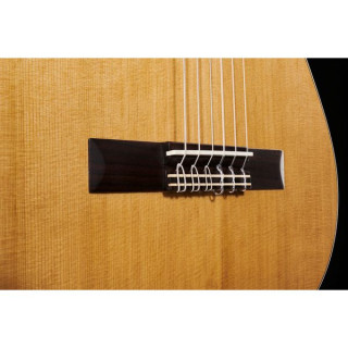 Альгамбра 1C HT 1/2 вкл. Гигантский мешок Alhambra 1C HT 1/2 incl. Gigbag