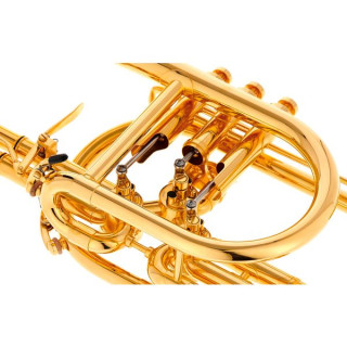 Труба Schagerl Raweni Bb-Trumpet Schagerl Raweni Bb-Trumpet