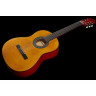 Классическая гитара Startone CG 851 3/4 Набор №291859 Startone CG 851 3/4 Bundle №291859