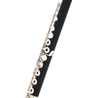 Флейта Philipp Hammig 658/2/R Holzflöte Reform