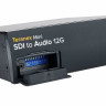 Видеоконвертер Blackmagic Design Teranex Mini SDI - Audio 12G Blackmagic Design Teranex Mini SDI - Audio 12G