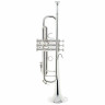 Bach 180S43R Bb-Trumpet Bach 180S43R Bb-Trumpet