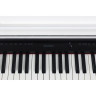 Цифровое пианино Thomann DP-140WH U