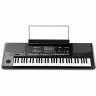 Korg PA-300 Набор №336481 Korg PA-300 Bundle №336481