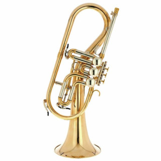 Флюгельгорн Schagerl Killerqueen "Z" Flugelhorn UL