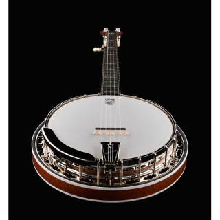 Банджо Deering Sierra 5-String