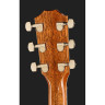 Тейлор Legacy Edition 810e Taylor Legacy Edition 810e