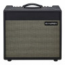 Комбоусилитель для электрогитары Synergy SYN-30 Combo Synergy SYN-30 Combo