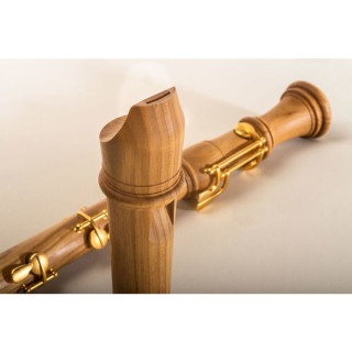 Молленхауэр 5431C Деннер Комфорт Тенор Mollenhauer 5431C Denner Comfort Tenor