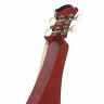 Дульцимер Thomann Europe Dulcimer D1211 Thomann Europe Dulcimer D1211