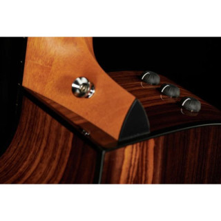 Тейлор 214ce Плюс Taylor 214ce Plus