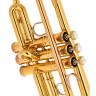 Труба Yamaha YTR-8335LA Trumpet - 2. Gen. Yamaha YTR-8335LA Trumpet - 2. Gen.