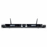 Беспроводная система LD Systems U518 HHD2