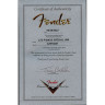Бас-гитара Fender P-Bass Special LTD JM ACFM
