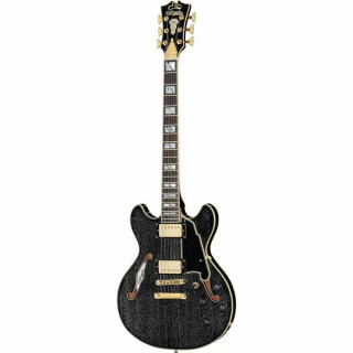 Черная собака DAngelico Excel Mini DC DAngelico Excel Mini DC Black Dog