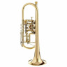 Труба Gerd Dowids BZ-Series C-Trumpet Gerd Dowids BZ-Series C-Trumpet