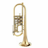 Труба Gerd Dowids BZ-Series C-Trumpet Gerd Dowids BZ-Series C-Trumpet